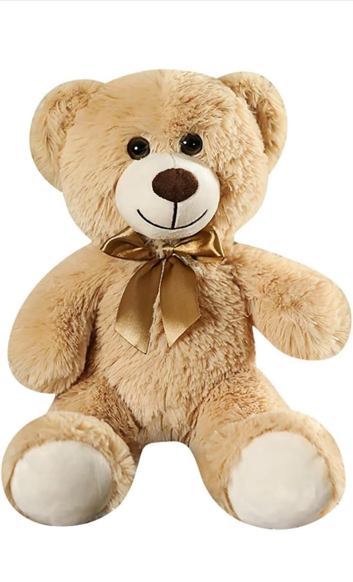 Adorable Plush Bear